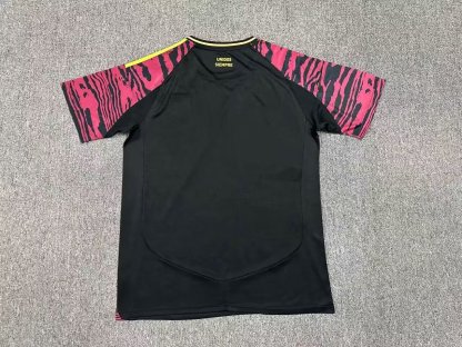 24/25 Peru  away fan version S-4XL