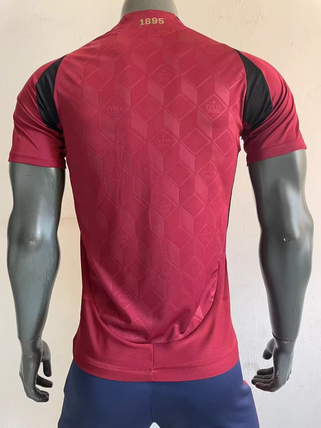 24/25 Belgium home player version size S-XXL