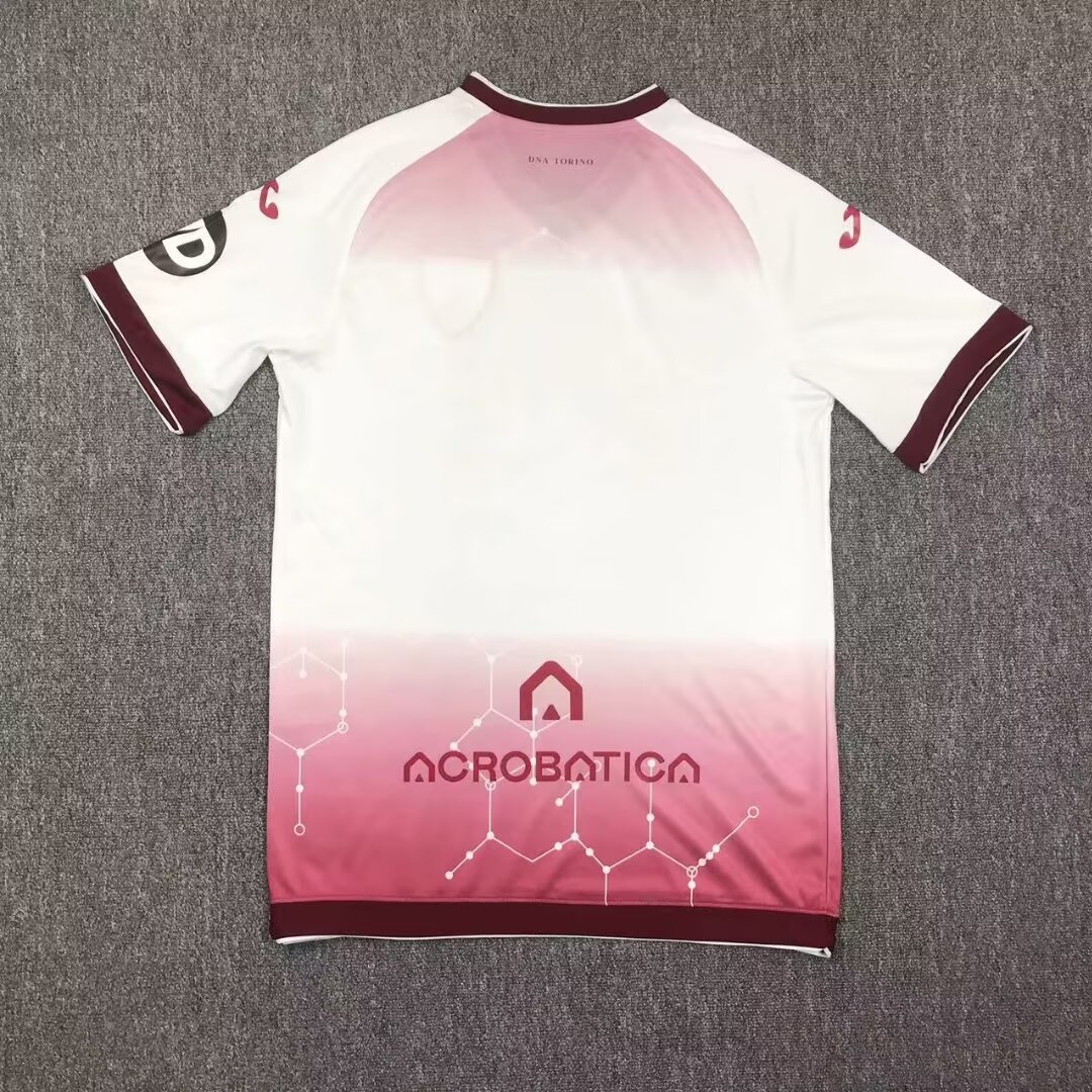24/25 Torino away training fan version S-XXL