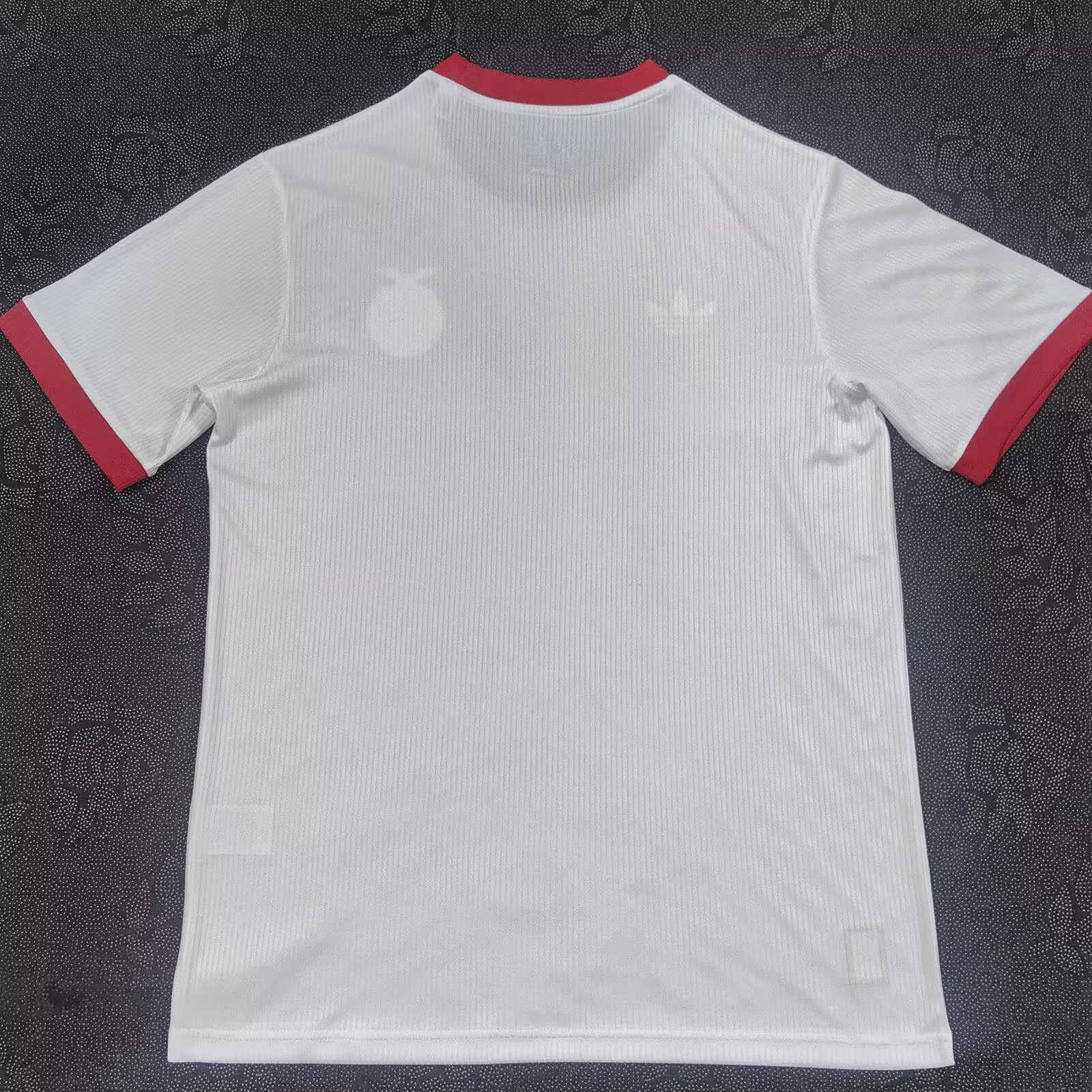 25/26 Benfica Anniversary fan version S-3XL