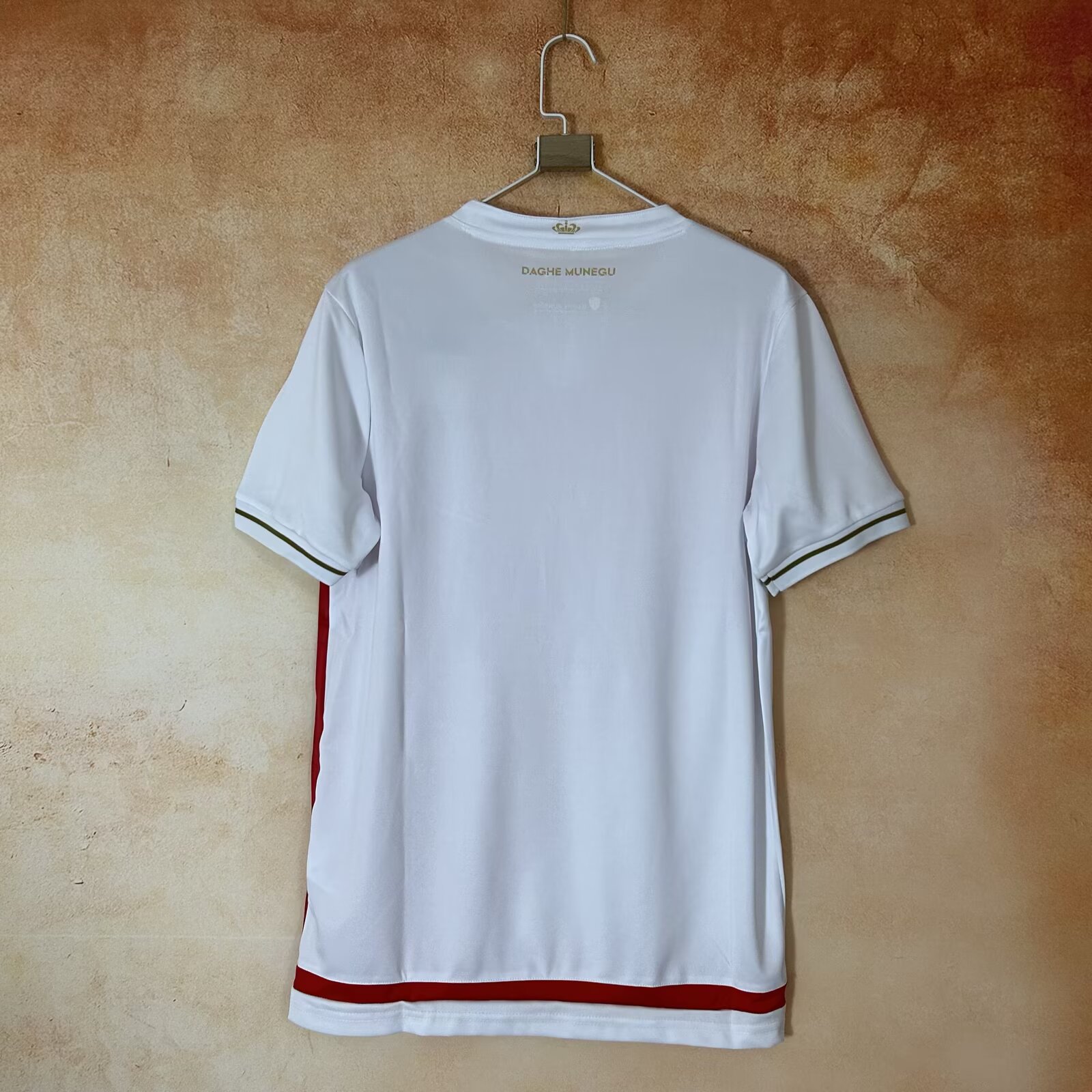 25/26 AS Monaco FC home fan version Jersey S~4XL