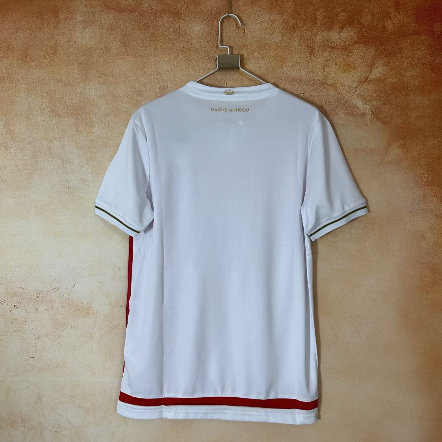 25/26 AS Monaco FC home fan version Jersey S~4XL