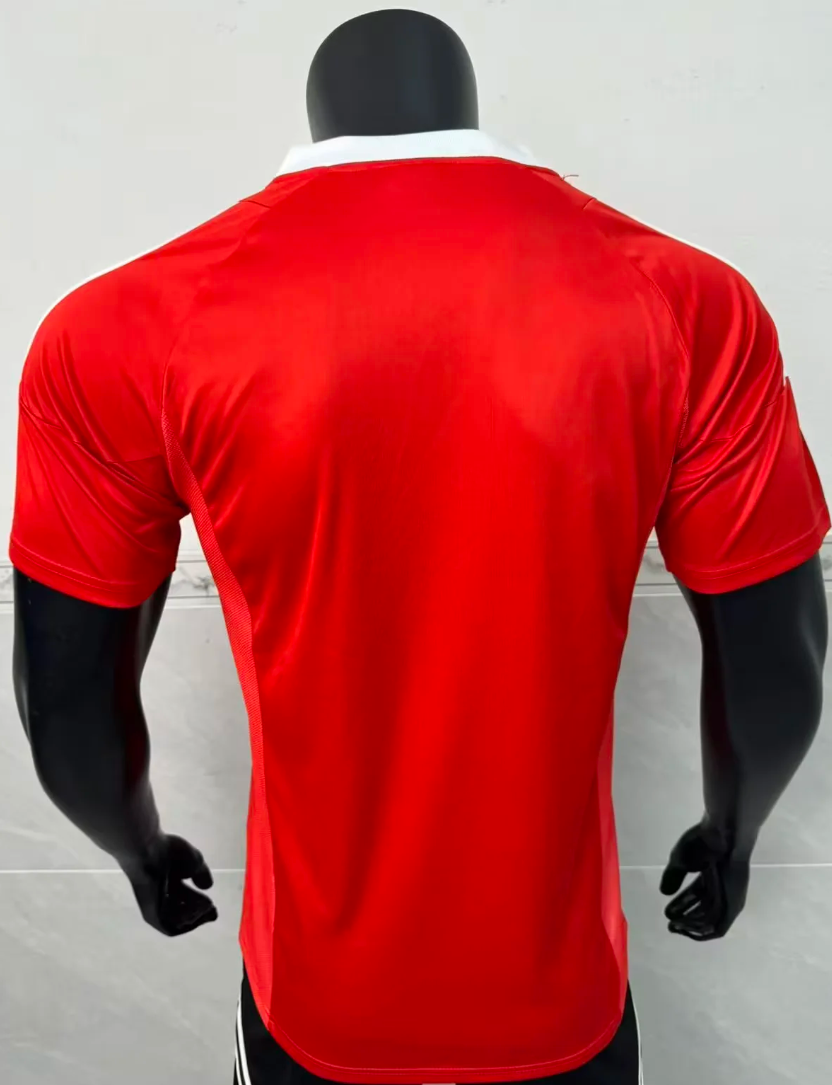 02/03 Benfica home retro version S-XXL