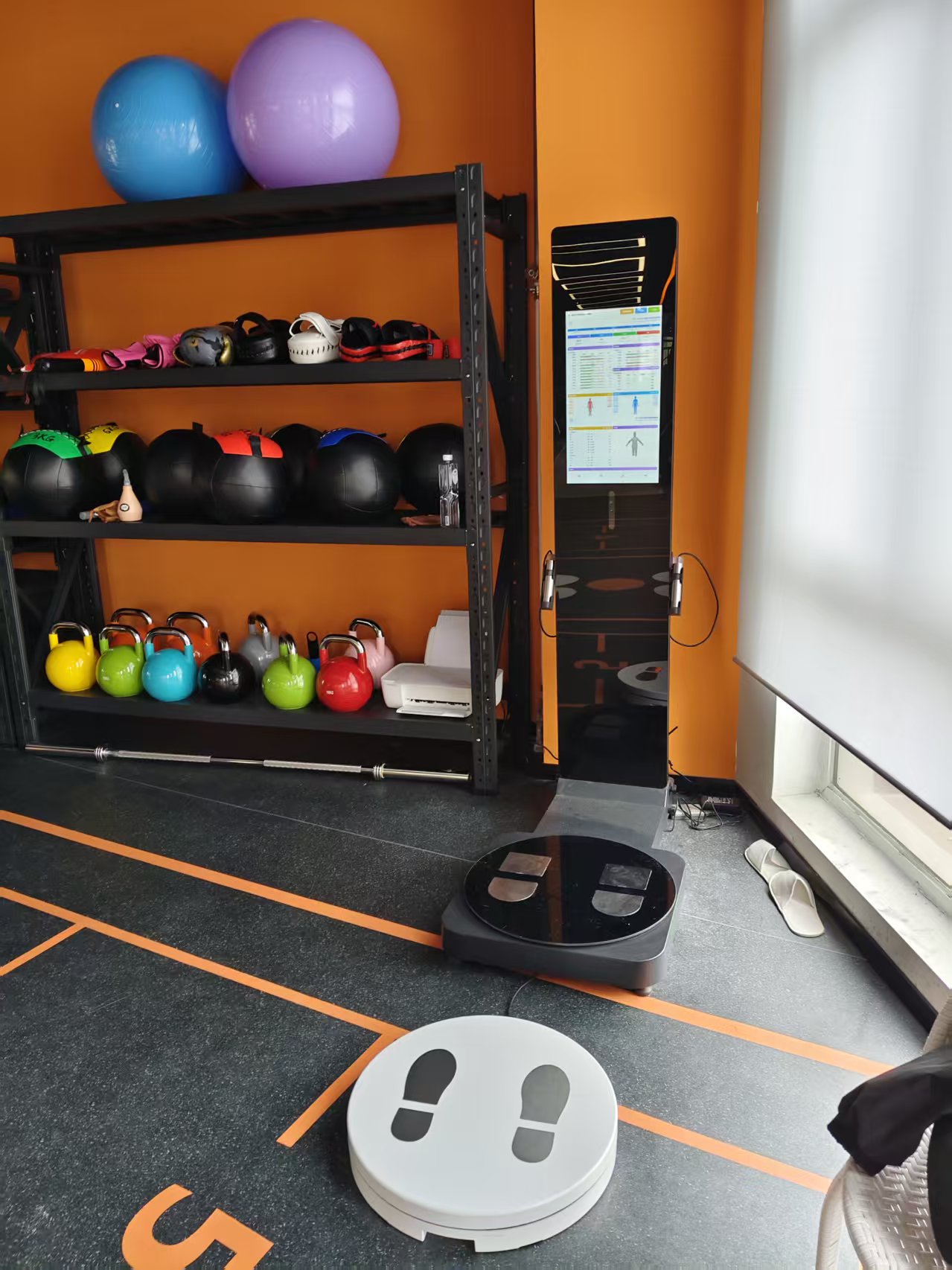 360 3D 2in1 Body Compostion Body Posture Body Shape Analysis Machine Same As Visbody 