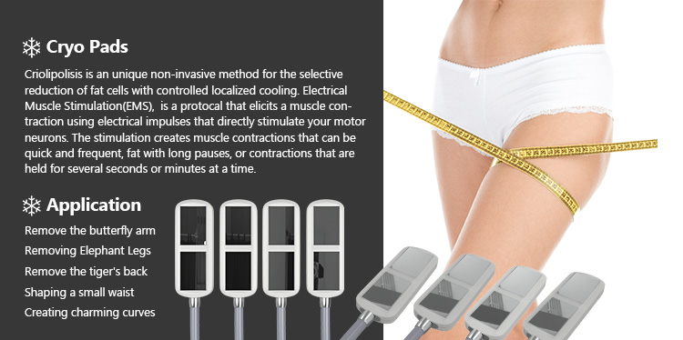 XM-678 EMS Cryolipolysis Body Cellulite Fat Reduction Cellulite Frozen Machine