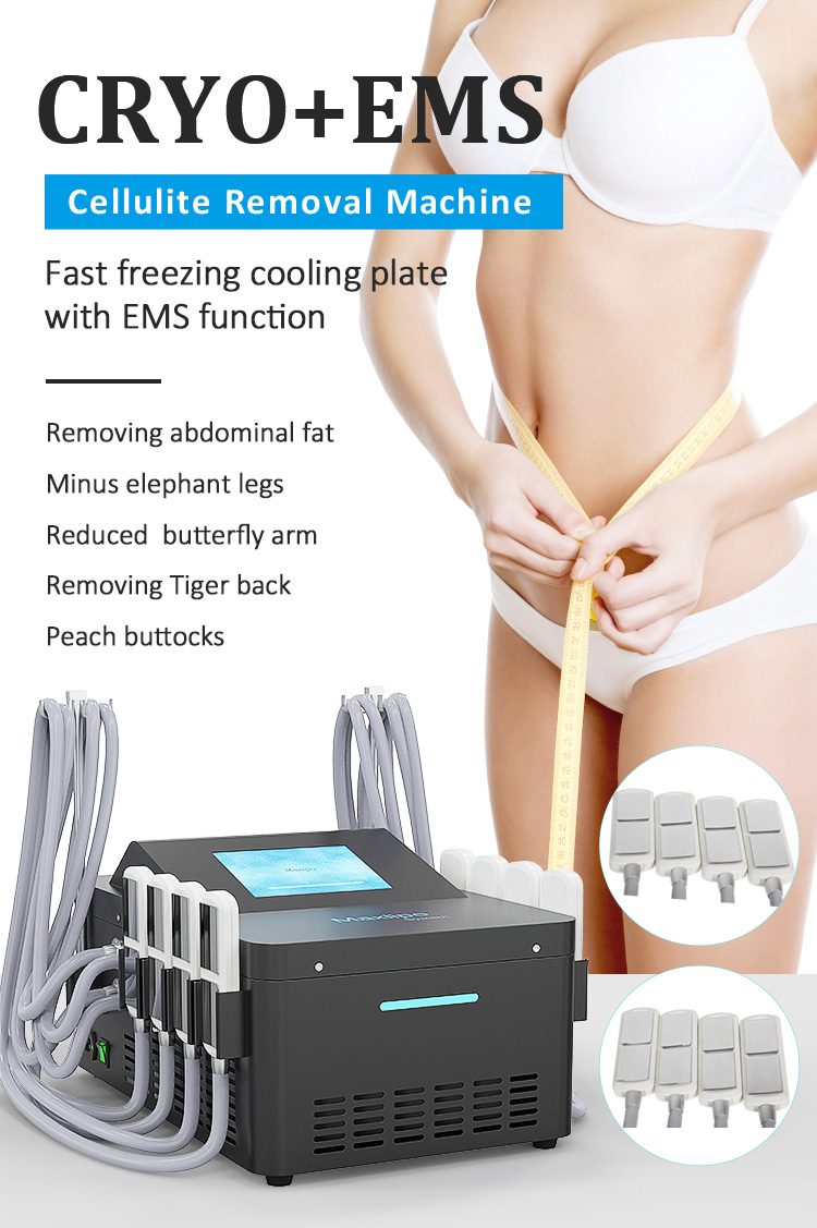 XM-278 pro Cryolypolysis Fat Freeze Coolsculpt EMS Cellulite