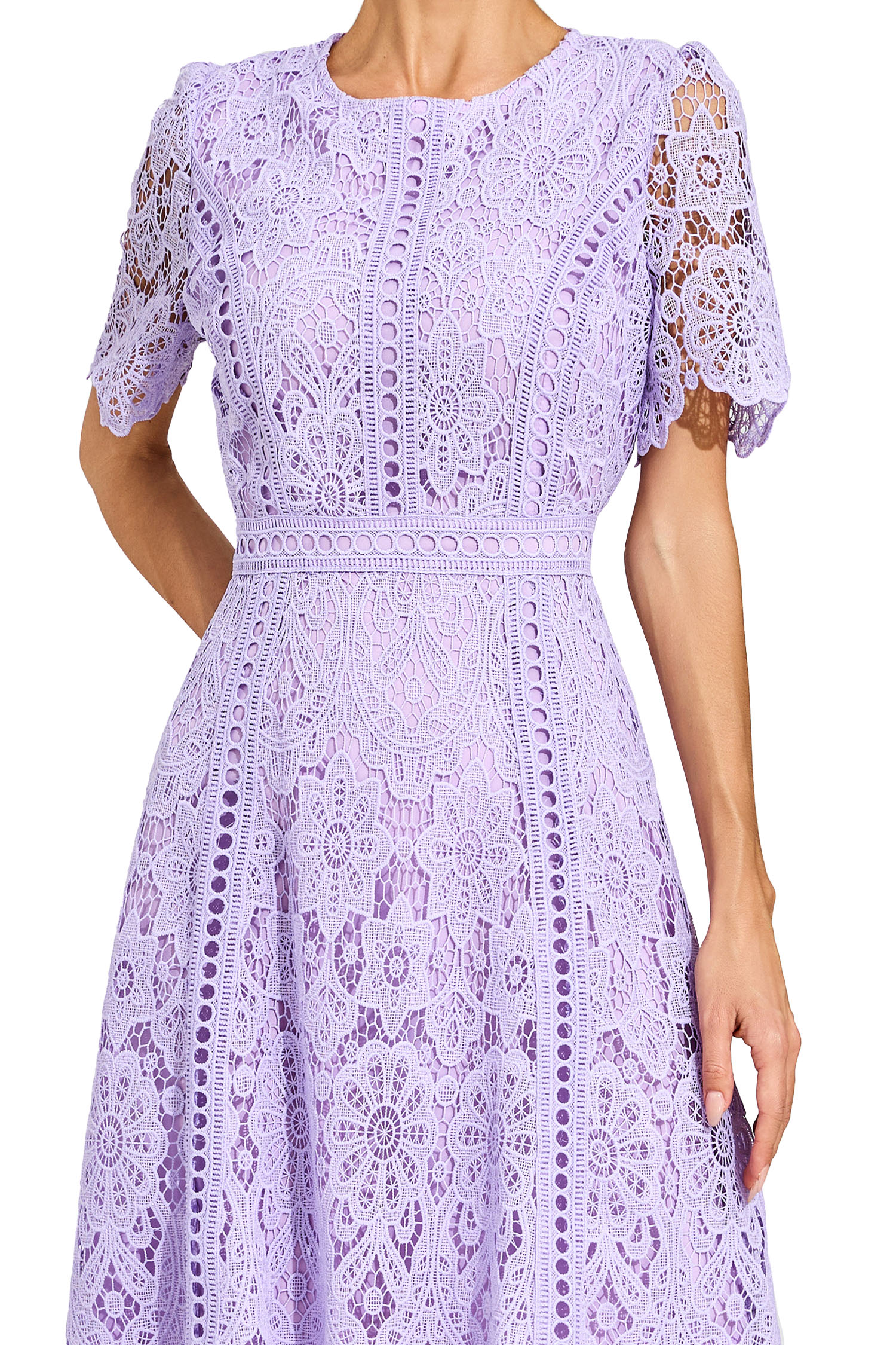 Humphrey Purple Lace Cut Out Midi Dress