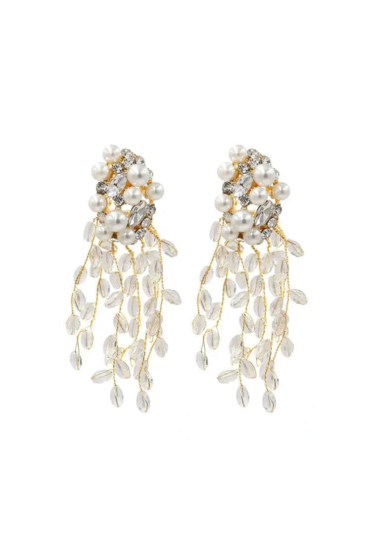 Alina Crystal Tassel Earrings - Catchall