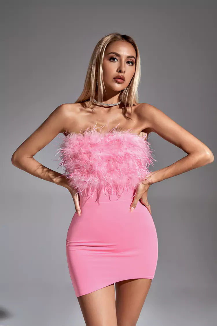Emma Embellished Feather Dress - Hot Pink