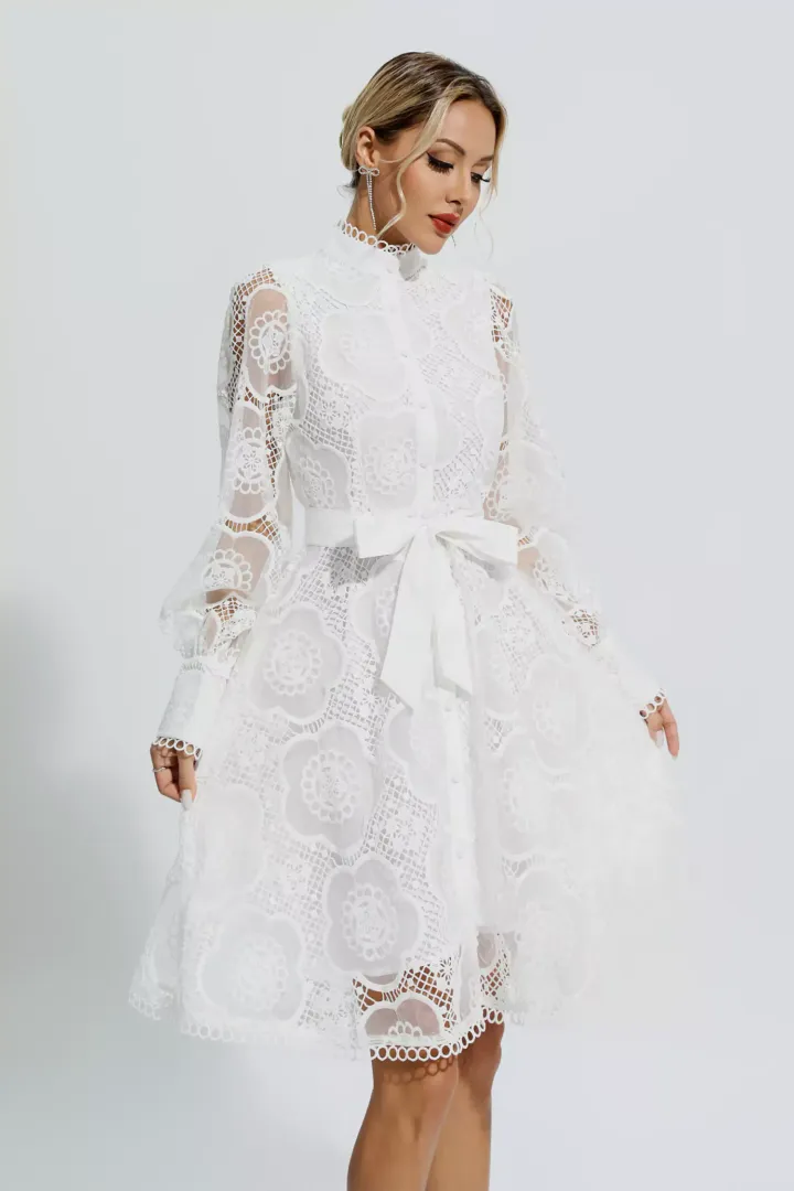 Lorelei White Lace Jacquard Mini Dress