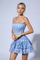 Rosemary Ruffle Mini Dress