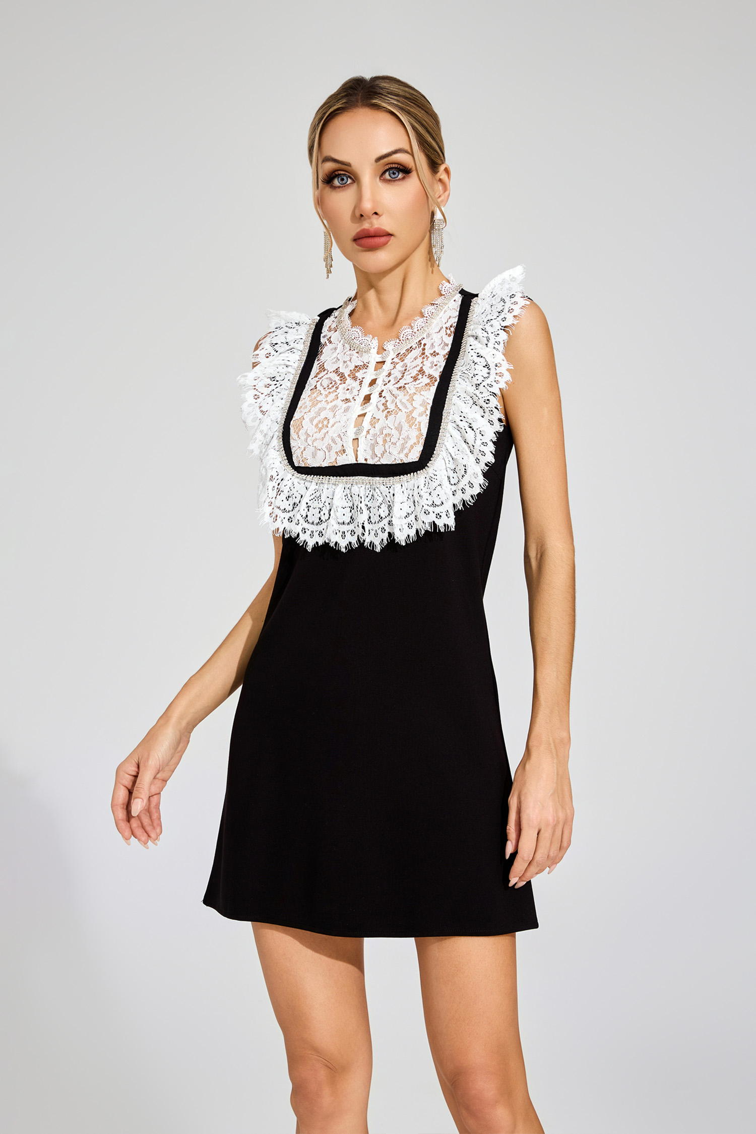 Warren Black Lace Mini Dress
