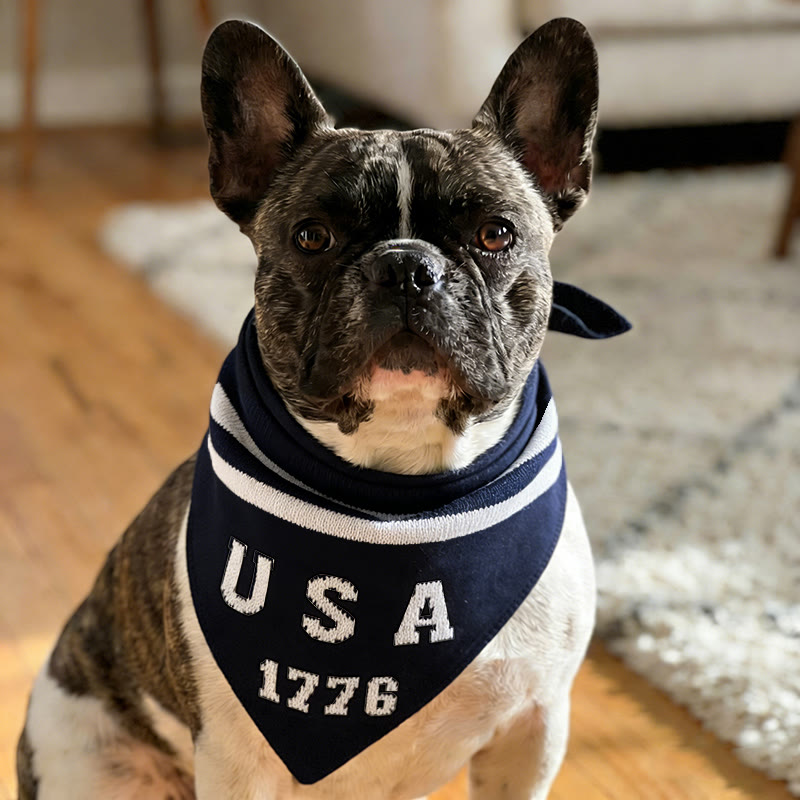 American Independence Day  1776 Pattern Print Cat And Dog Bandana - Navy Blue - 19.6*19.6 - image 1