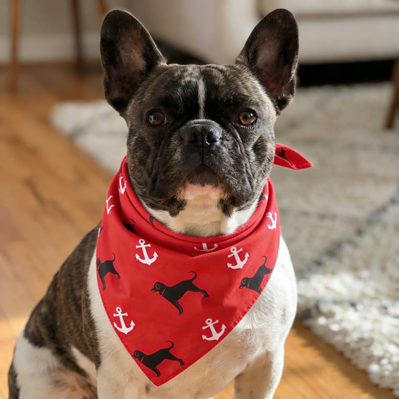 Puppy And Anchor Pattern Print Cat And Dog Bandana - Red - 19.6*19.6 - image 1