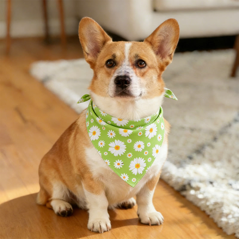 Cute Floral Pattern Prints dog and cat bandana - 8 - 45*45 - image 11