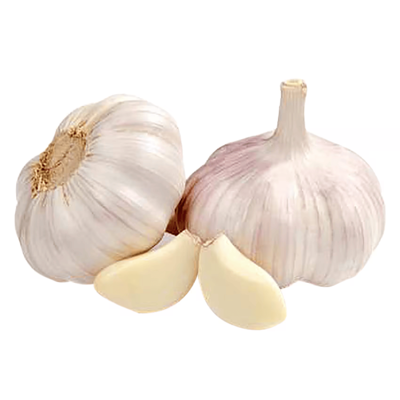 Fresh garlic Loose