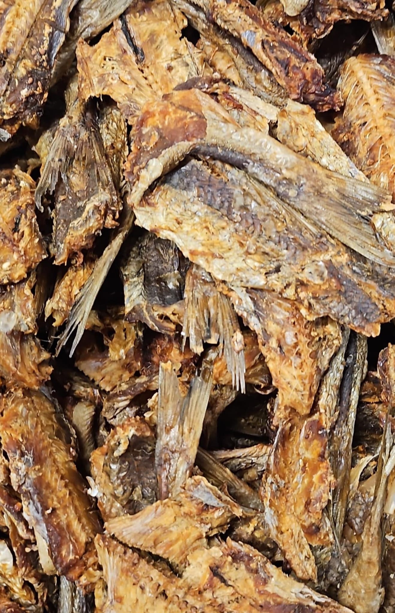 Lizard Fish 10kg box