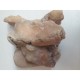 Beef Reed (Abodi)-Pride of Africa
