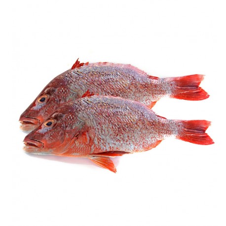 Red Bream Fish (Uncut/Uncleaned) Headless-Pride of Africa