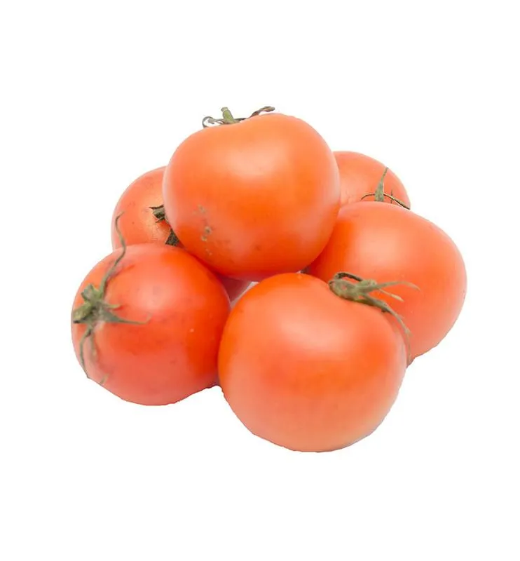 Fresh Tomato Box