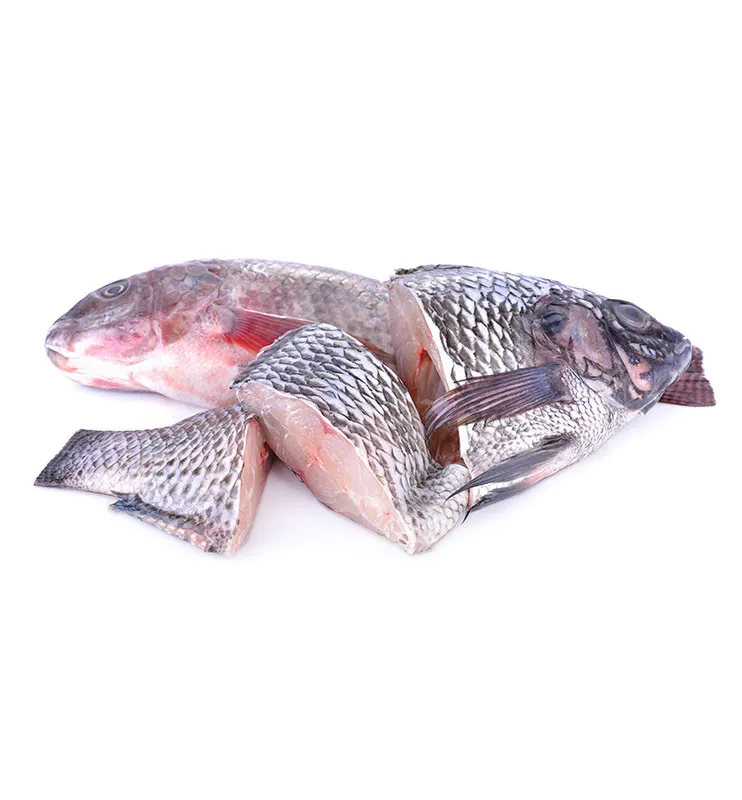 Frozen Tilapia