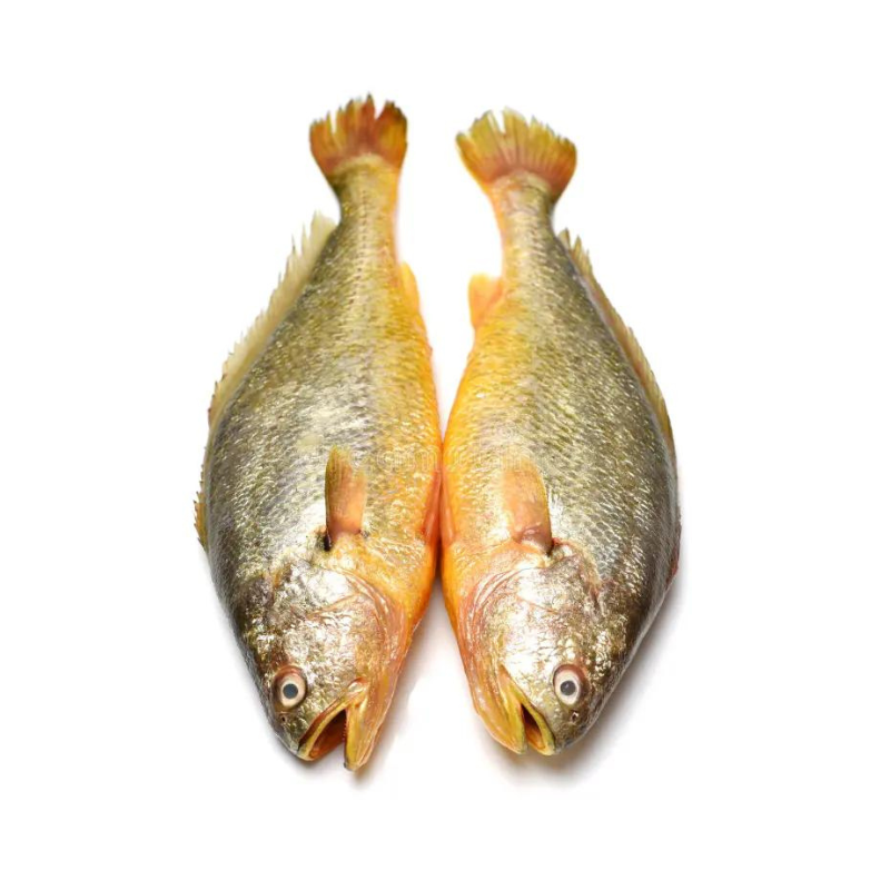 Yellow Croaker Steak 1kg x 10