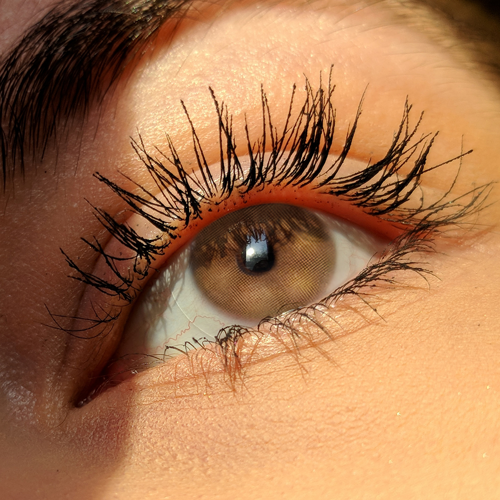 Echo Brown Contact Lenses(12 months wear)