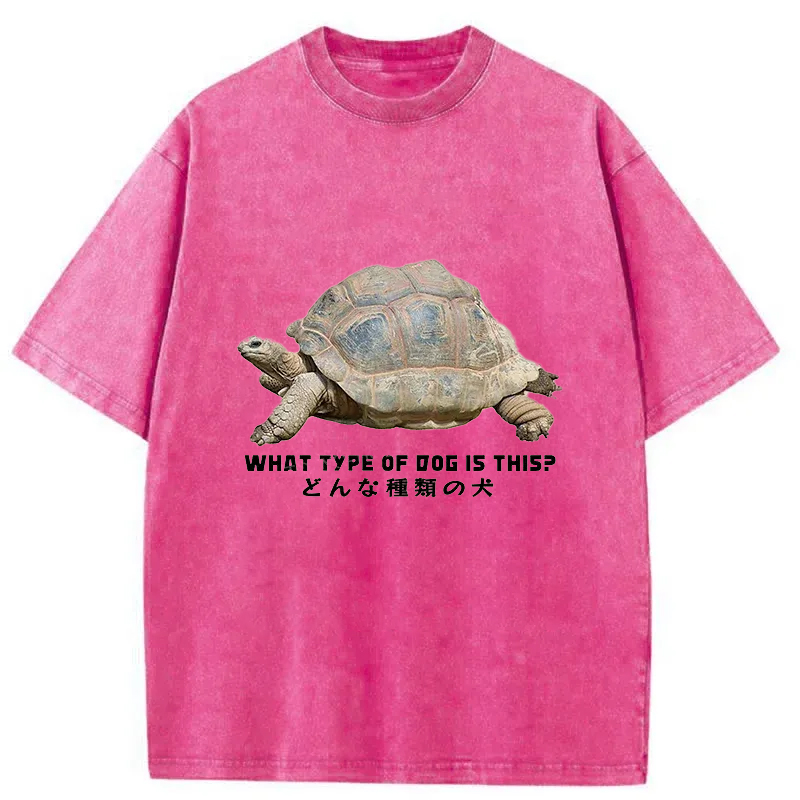 Tokyo-Tiger Slow Crawling Dog Washed T-Shirt