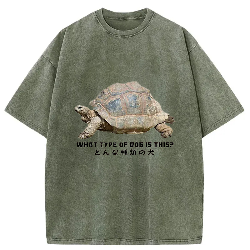 Tokyo-Tiger Slow Crawling Dog Washed T-Shirt