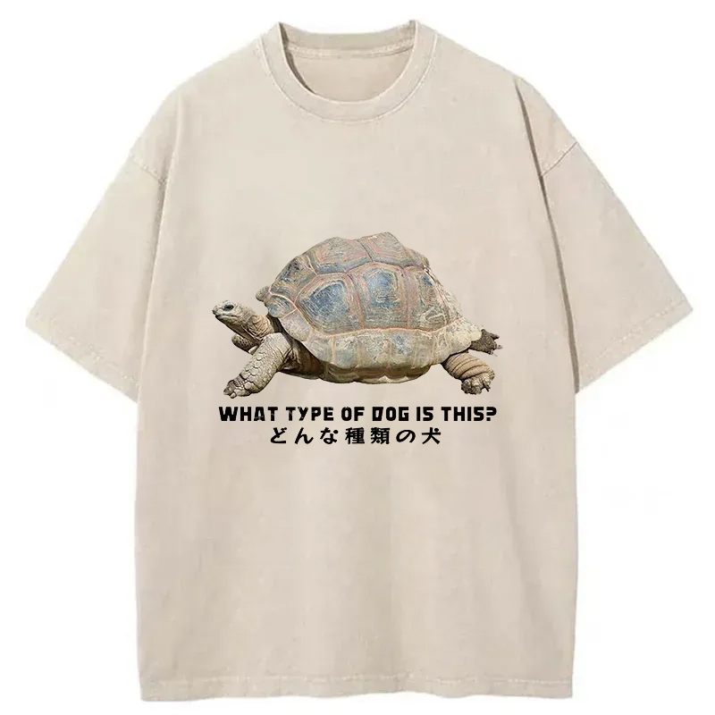 Tokyo-Tiger Slow Crawling Dog Washed T-Shirt