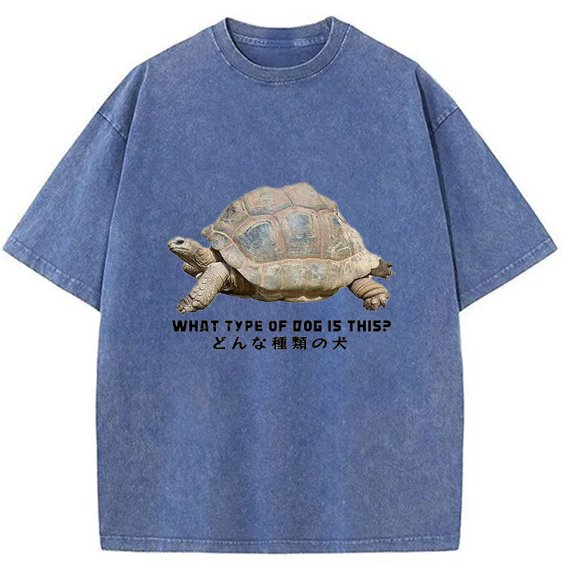 Tokyo-Tiger Slow Crawling Dog Washed T-Shirt