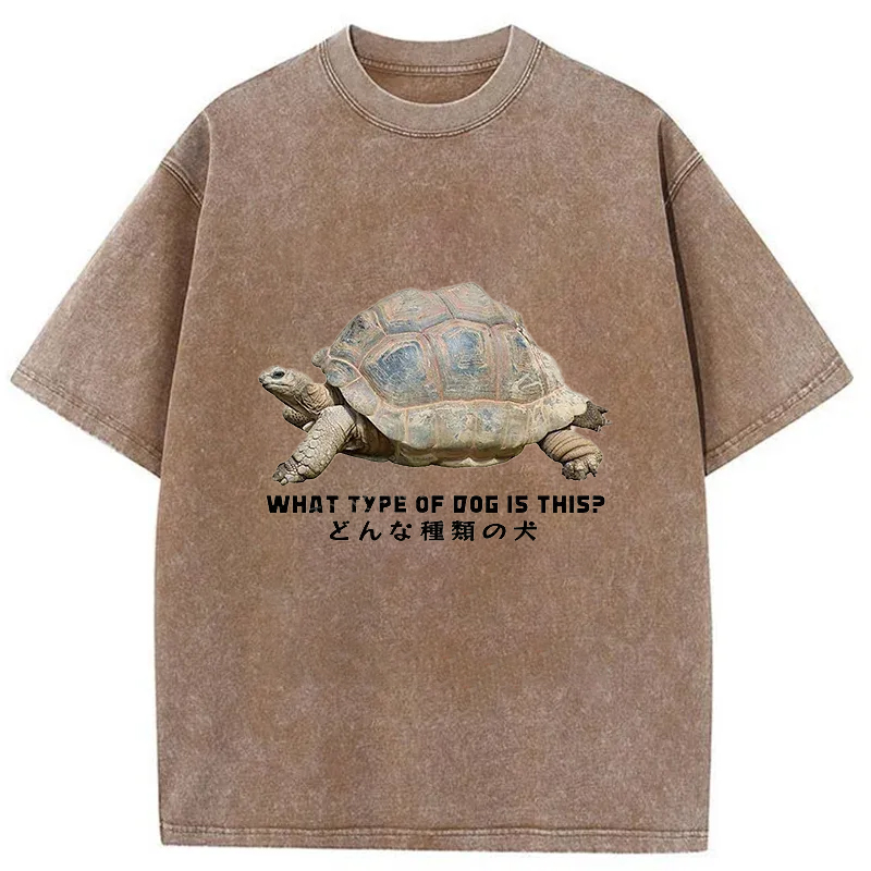 Tokyo-Tiger Slow Crawling Dog Washed T-Shirt