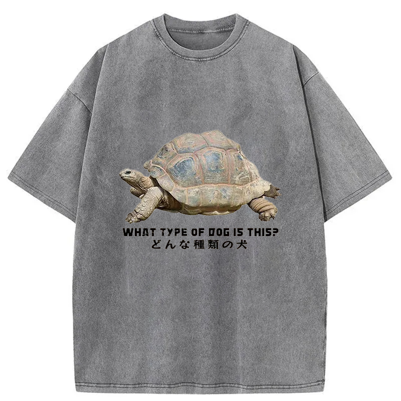 Tokyo-Tiger Slow Crawling Dog Washed T-Shirt