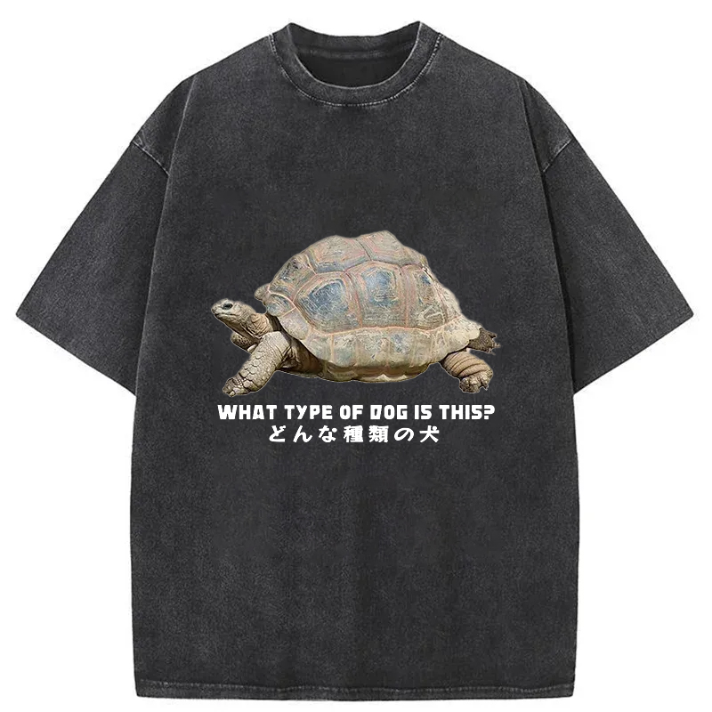 Tokyo-Tiger Slow Crawling Dog Washed T-Shirt