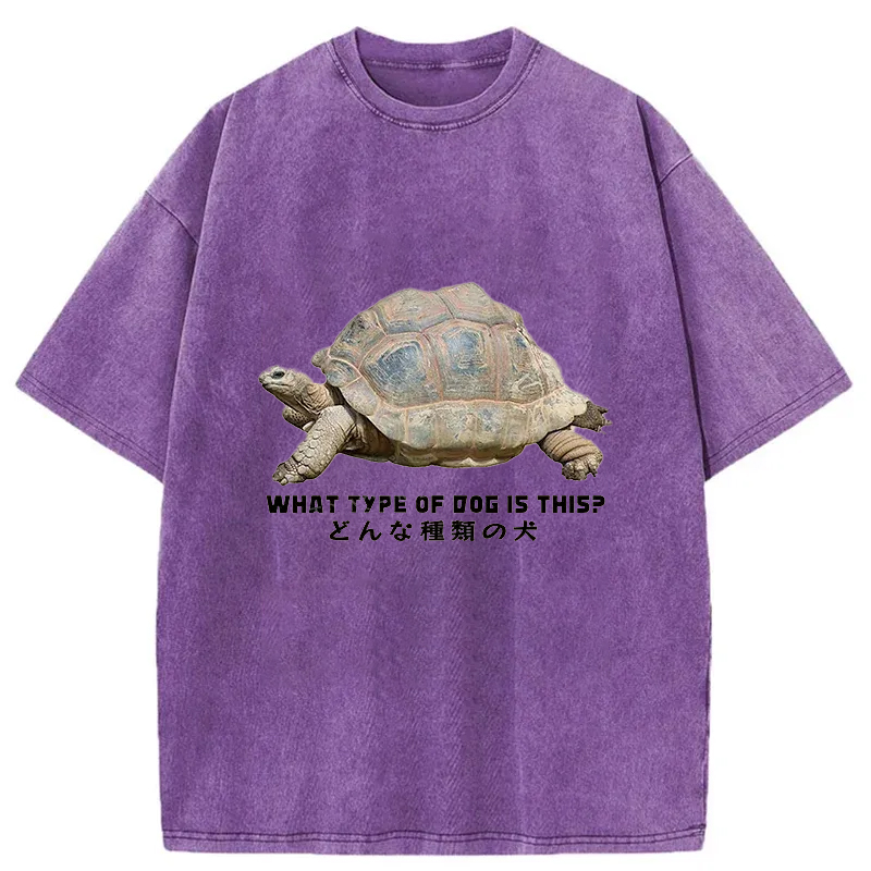 Tokyo-Tiger Slow Crawling Dog Washed T-Shirt