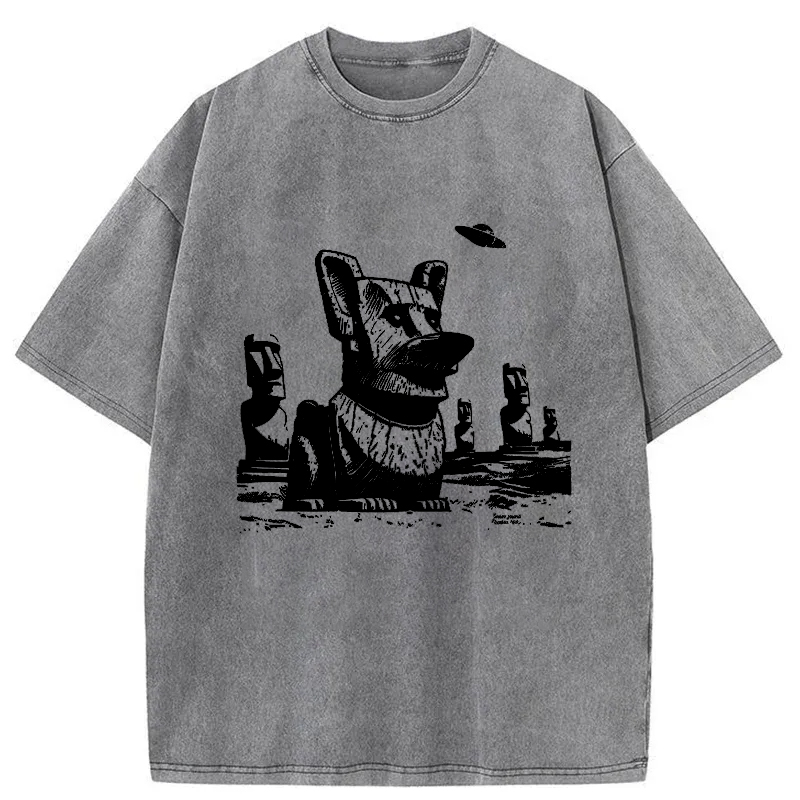 Tokyo-Tiger Funny Corgi Washed T-Shirt