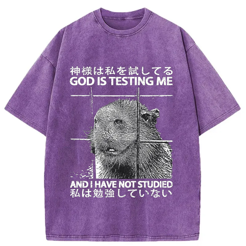 Tokyo-Tiger God Is Testing Me Washed T-Shirt