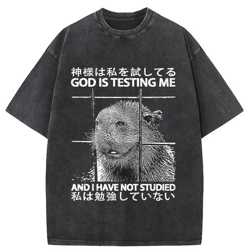 Tokyo-Tiger God Is Testing Me Washed T-Shirt