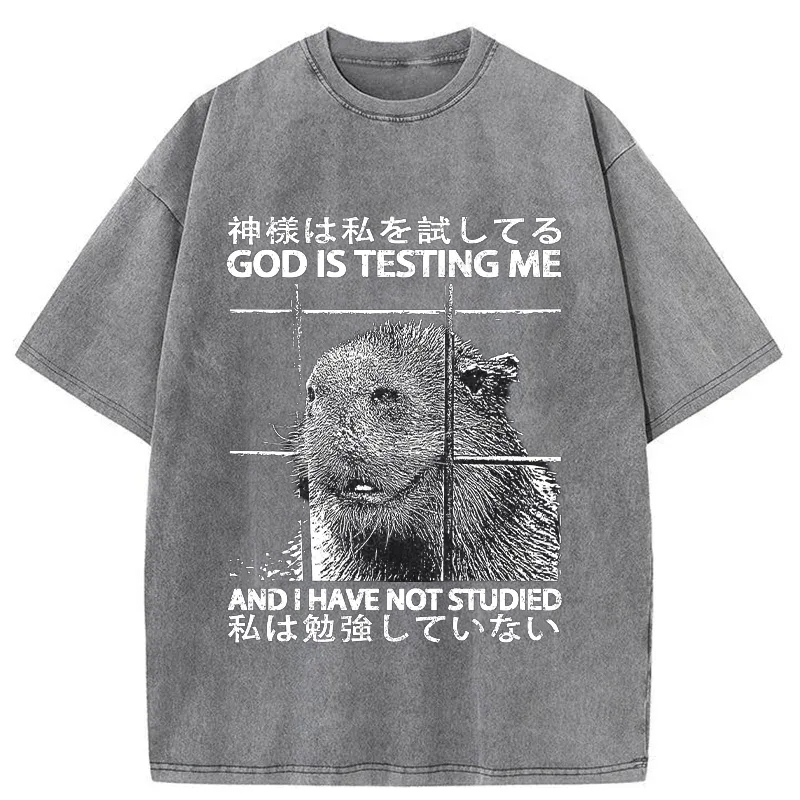 Tokyo-Tiger God Is Testing Me Washed T-Shirt