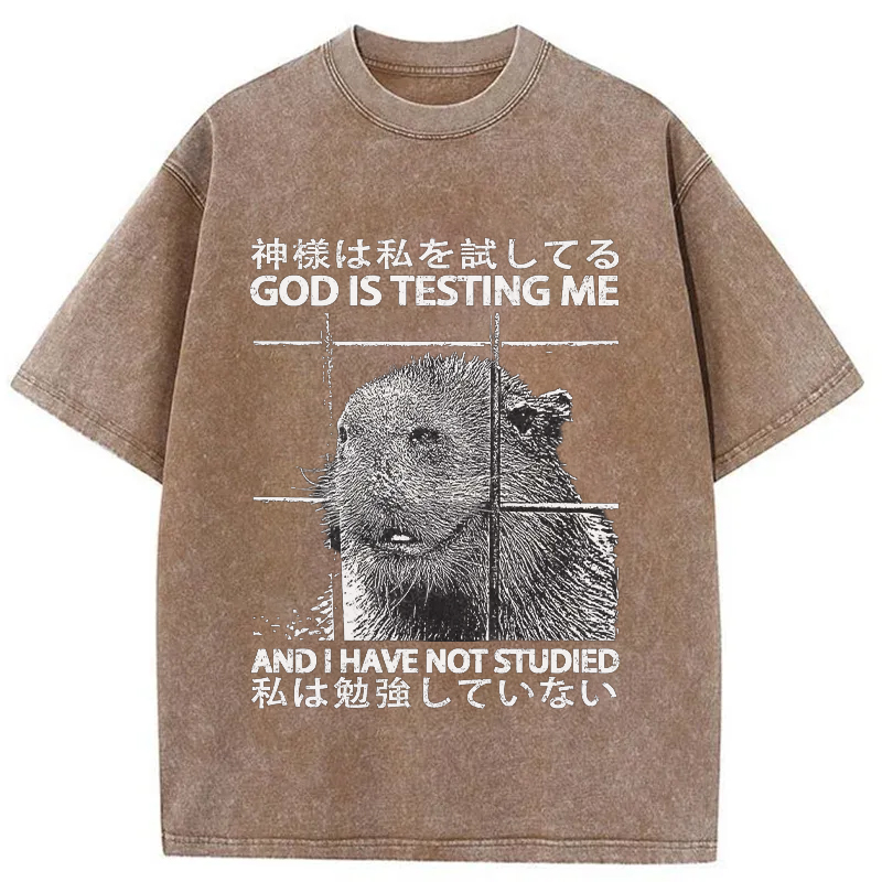 Tokyo-Tiger God Is Testing Me Washed T-Shirt