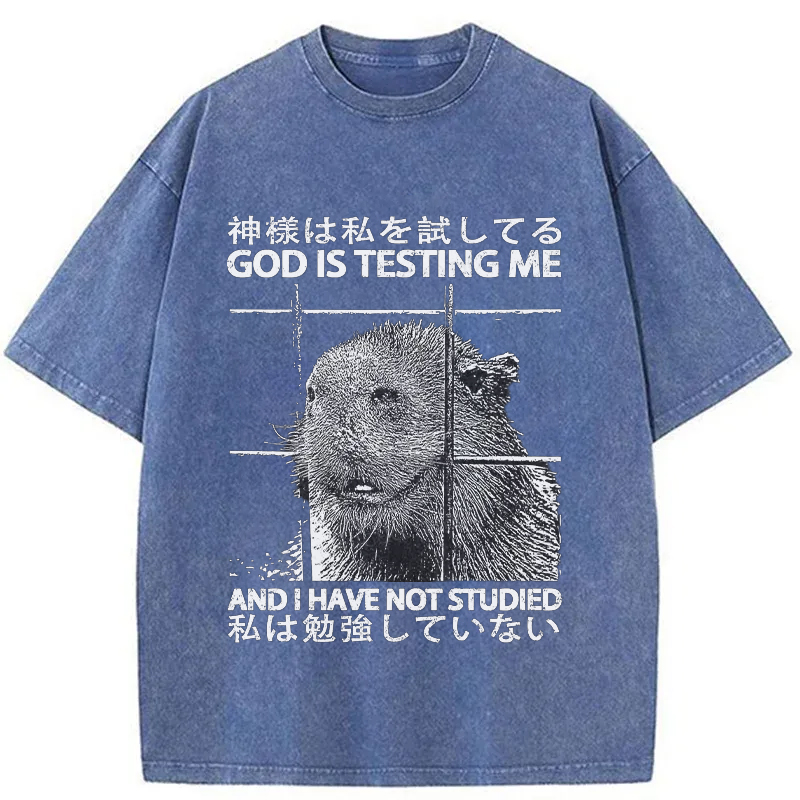 Tokyo-Tiger God Is Testing Me Washed T-Shirt