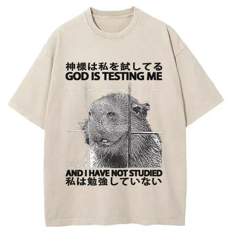 Tokyo-Tiger God Is Testing Me Washed T-Shirt