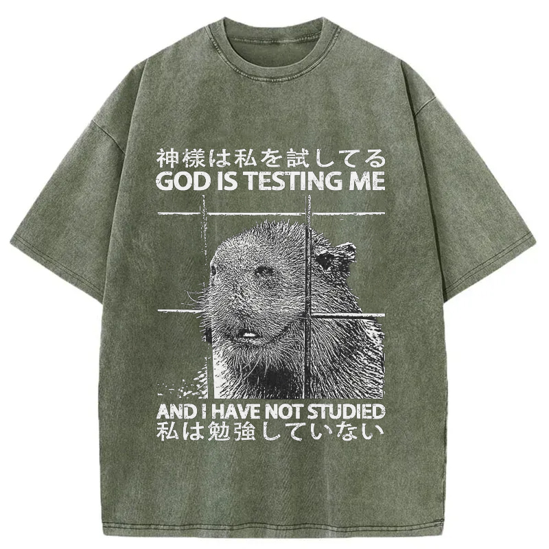 Tokyo-Tiger God Is Testing Me Washed T-Shirt