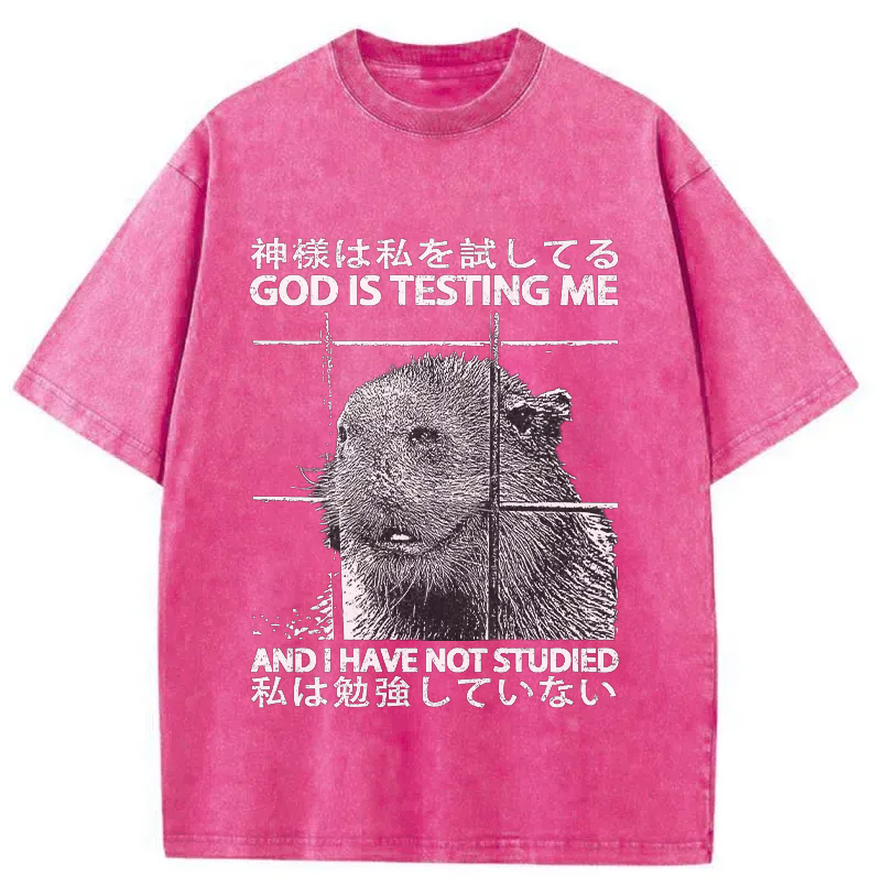 Tokyo-Tiger God Is Testing Me Washed T-Shirt