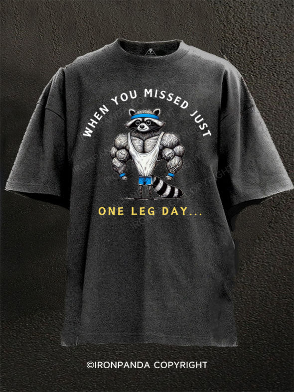 Funny Raccoon leg day Washed Gym Shirt