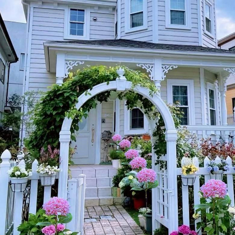 Outdoor Solar Hydrangea Flower Lights