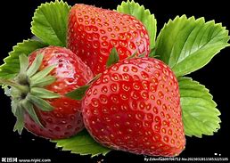 草莓1