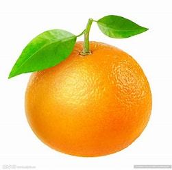 橙子