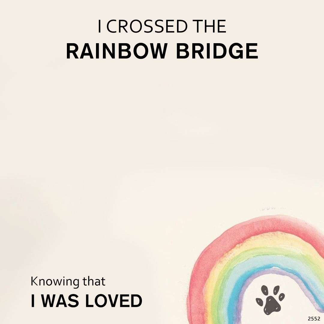 I crossed the rainbow bridge-Custom Pet Face and Name Portrait Necklace