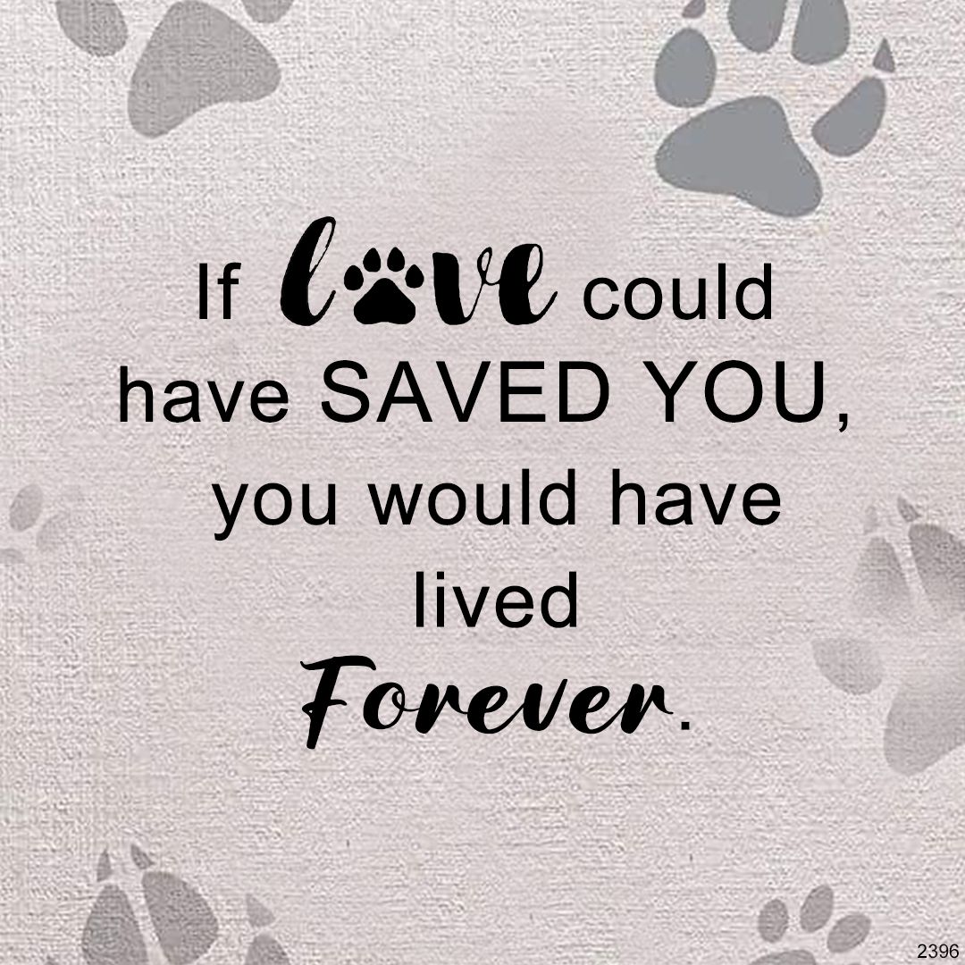 Cherished Companion Pet Memorial Bead Bracelet